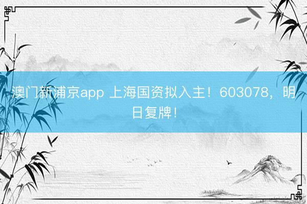 澳门新浦京app 上海国资拟入主!603078,明日复牌!