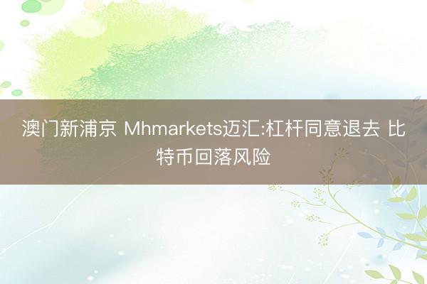 澳门新浦京 Mhmarkets迈汇:杠杆同意退去 比特币回落风险