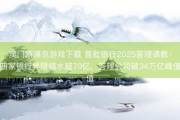 澳门新浦京游戏下载 首批银行2025答理请教:四家银行界限缩水超70亿,答理公司破34万亿峰值