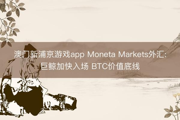 澳门新浦京游戏app Moneta Markets外汇:巨鲸加快入场 BTC价值底线