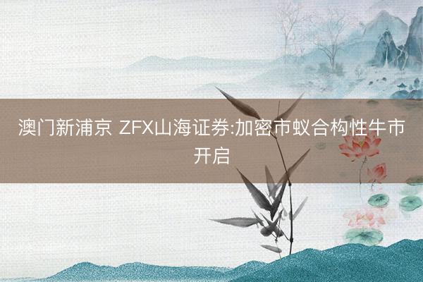 澳门新浦京 ZFX山海证券:加密市蚁合构性牛市开启