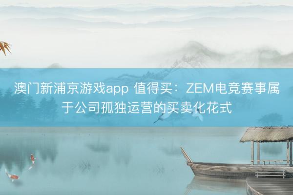 澳门新浦京游戏app 值得买:ZEM电竞赛事属于公司孤独运营的买卖化花式