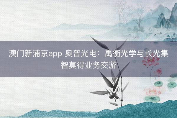 澳门新浦京app 奥普光电：禹衡光学与长光集智莫得业务交游