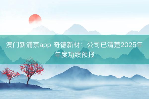 澳门新浦京app 奇德新材：公司已清楚2025年年度功绩预报