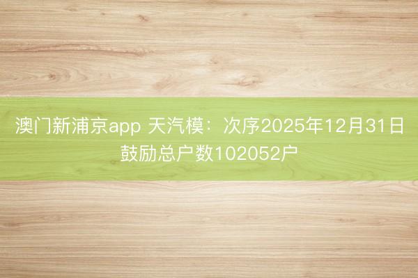澳门新浦京app 天汽模：次序2025年12月31日鼓励总户数102052户