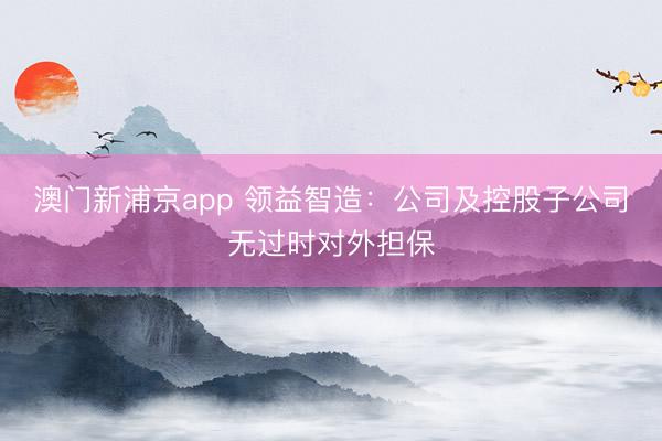 澳门新浦京app 领益智造：公司及控股子公司无过时对外担保