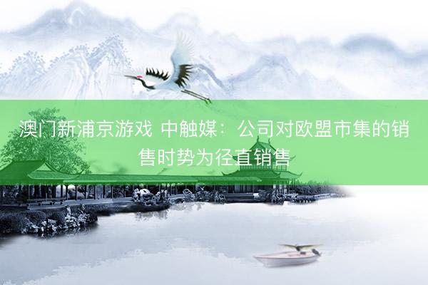 澳门新浦京游戏 中触媒：公司对欧盟市集的销售时势为径直销售