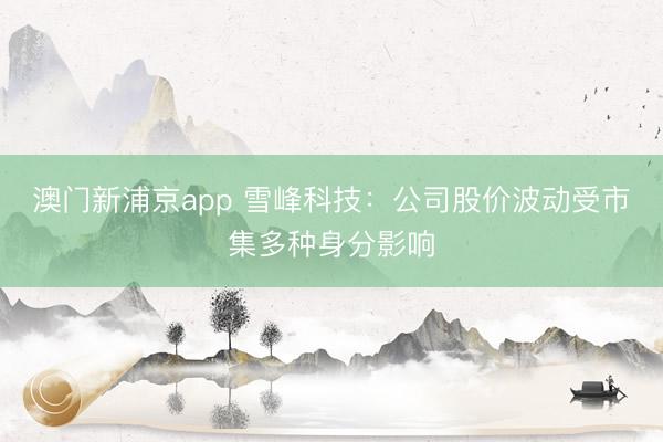 澳门新浦京app 雪峰科技:公司股价波动受市集多种身分影响