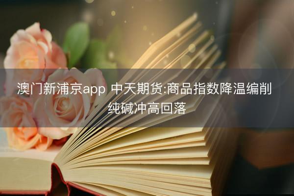澳门新浦京app 中天期货:商品指数降温编削 纯碱冲高回落