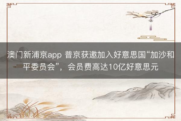 澳门新浦京app 普京获邀加入好意思国“加沙和平委员会”,会员费高达10亿好意思元