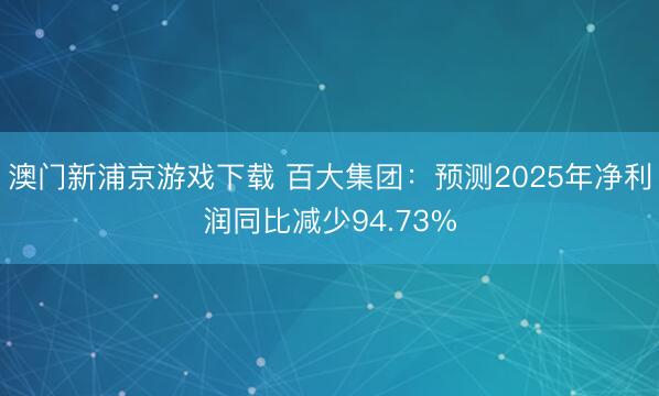 澳门新浦京游戏下载 百大集团:预测2025年净利润同比减少94.73%