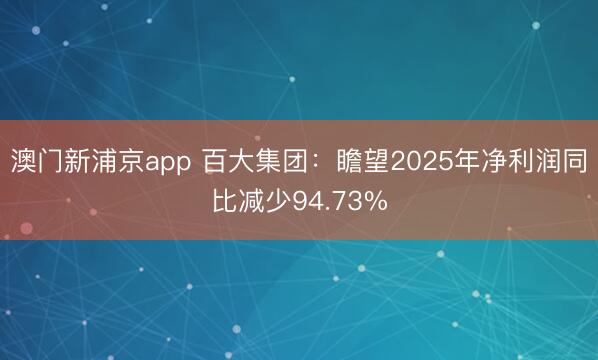 澳门新浦京app 百大集团:瞻望2025年净利润同比减少94.73%