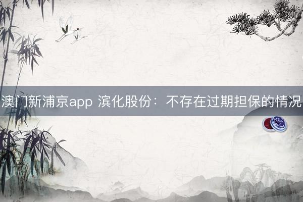 澳门新浦京app 滨化股份：不存在过期担保的情况
