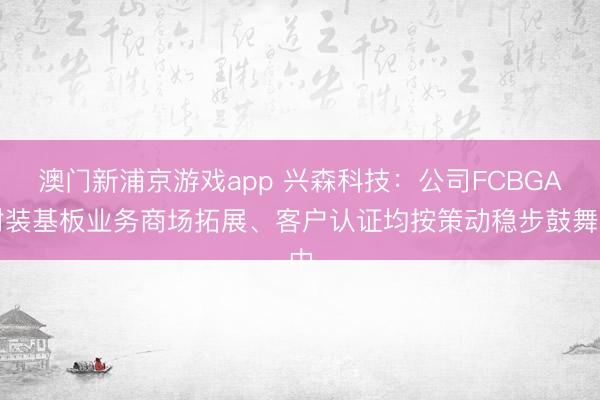 澳门新浦京游戏app 兴森科技：公司FCBGA封装基板业务商场拓展、客户认证均按策动稳步鼓舞中