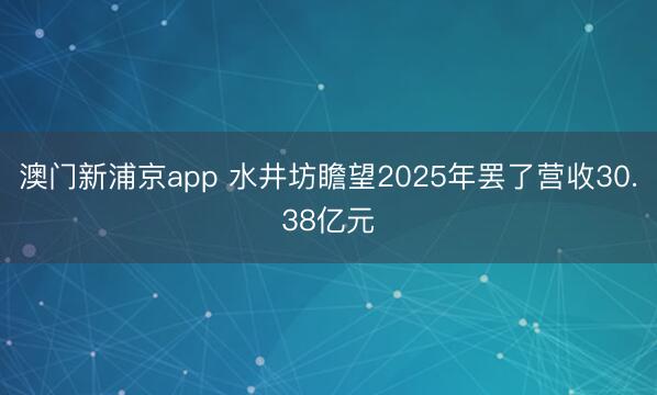 澳门新浦京app 水井坊瞻望2025年罢了营收30.38亿元