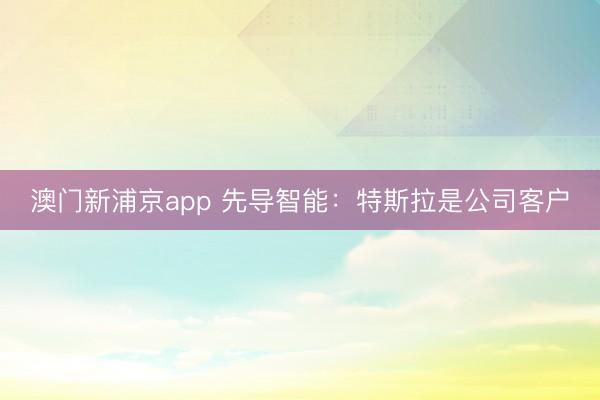 澳门新浦京app 先导智能：特斯拉是公司客户