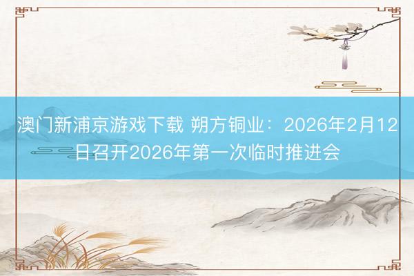 澳门新浦京游戏下载 朔方铜业：2026年2月12日召开2026年第一次临时推进会