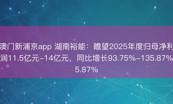 澳门新浦京app 湖南裕能:瞻望2025年度归母净利润11.5亿元-14亿元,同比增长93.75%-135.87%