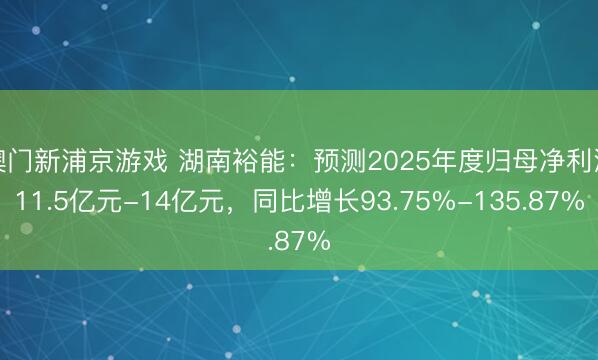 澳门新浦京游戏 湖南裕能:预测2025年度归母净利润11.5亿元-14亿元,同比增长93.75%-135.87%