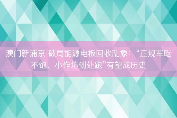澳门新浦京 破局能源电板回收乱象:“正规军吃不饱、小作坊到处跑”有望成历史