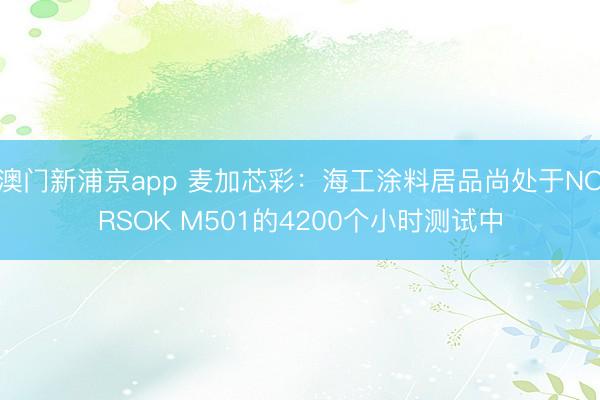 澳门新浦京app 麦加芯彩：海工涂料居品尚处于NORSOK M501的4200个小时测试中