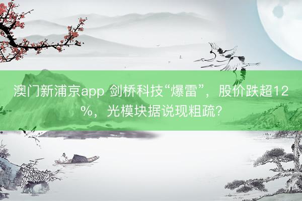 澳门新浦京app 剑桥科技“爆雷”,股价跌超12%,光模块据说现粗疏?