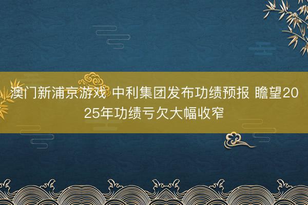 澳门新浦京游戏 中利集团发布功绩预报 瞻望2025年功绩亏欠大幅收窄