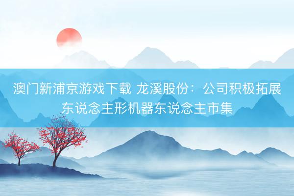 澳门新浦京游戏下载 龙溪股份：公司积极拓展东说念主形机器东说念主市集