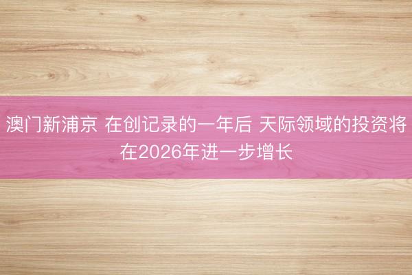 澳门新浦京 在创记录的一年后 天际领域的投资将在2026年进一步增长