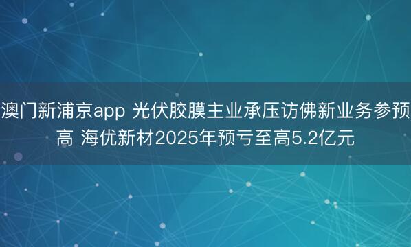 澳门新浦京app 光伏胶膜主业承压访佛新业务参预高 海优新材2025年预亏至高5.2亿元