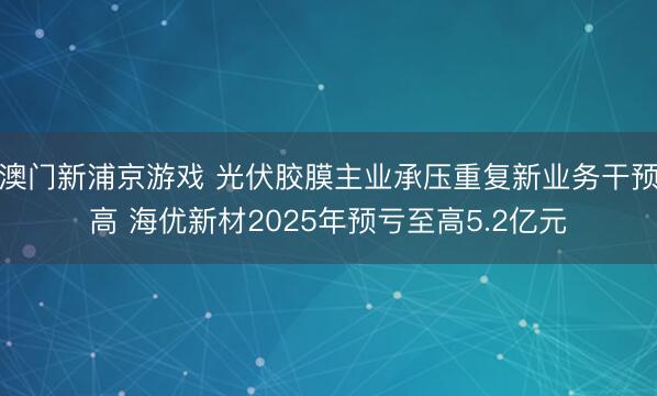澳门新浦京游戏 光伏胶膜主业承压重复新业务干预高 海优新材2025年预亏至高5.2亿元
