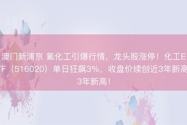 澳门新浦京 氟化工引爆行情，龙头股涨停！化工ETF（516020）单日狂飙3%，收盘价续创近3年新高！