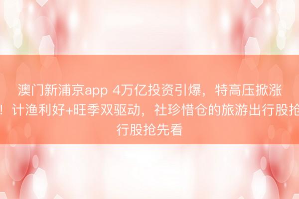 澳门新浦京app 4万亿投资引爆，特高压掀涨停潮！计渔利好+旺季双驱动，社珍惜仓的旅游出行股抢先看