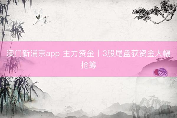 澳门新浦京app 主力资金丨3股尾盘获资金大幅抢筹