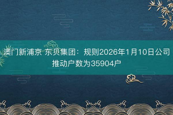 澳门新浦京 东贝集团:规则2026年1月10日公司推动户数为35904户