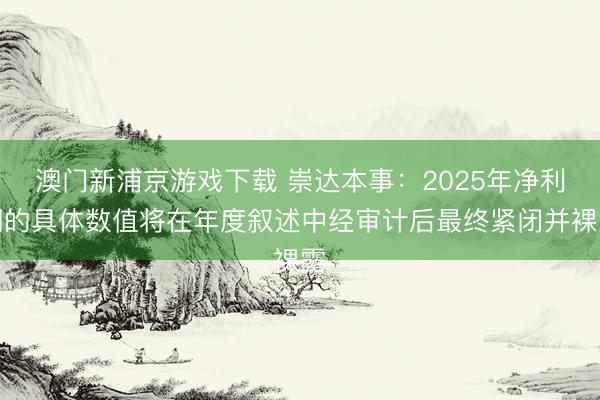 澳门新浦京游戏下载 崇达本事：2025年净利润的具体数值将在年度叙述中经审计后最终紧闭并裸露