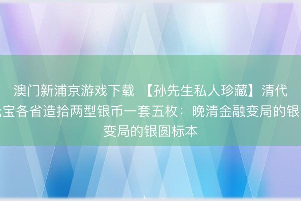 澳门新浦京游戏下载 【孙先生私人珍藏】清代光绪元宝各省造拾两型银币一套五枚：晚清金融变局的银圆标本