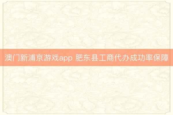 澳门新浦京游戏app 肥东县工商代办成功率保障
