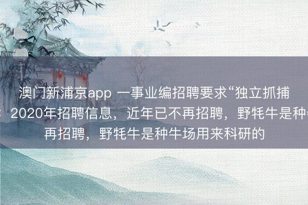 澳门新浦京app 一事业编招聘要求“独立抓捕野牦牛”？当地：2020年招聘信息，近年已不再招聘，野牦牛是种牛场用来科研的