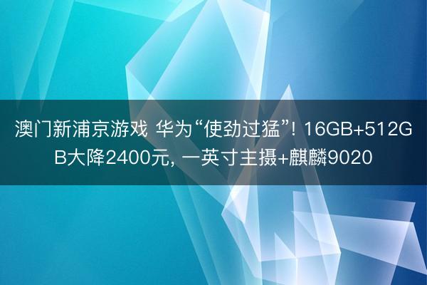 澳门新浦京游戏 华为“使劲过猛”! 16GB+512GB大降2400元， 一英寸主摄+麒麟9020