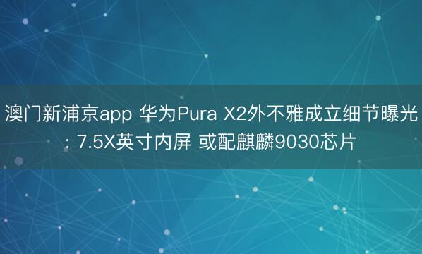 澳门新浦京app 华为Pura X2外不雅成立细节曝光: 7.5X英寸内屏 或配麒麟9030芯片