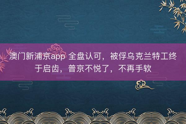澳门新浦京app 全盘认可，被俘乌克兰特工终于启齿，普京不悦了，不再手软
