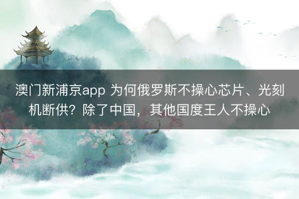 澳门新浦京app 为何俄罗斯不操心芯片、光刻机断供?除了中国,其他国度王人不操心