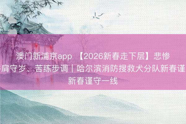澳门新浦京app 【2026新春走下层】悲惨战友并肩守岁、苦练步调|哈尔滨消防搜救犬分队新春谨守一线