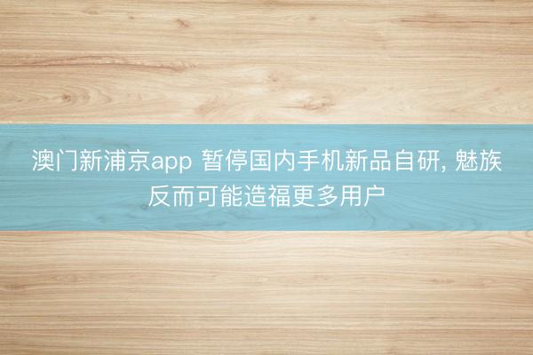 澳门新浦京app 暂停国内手机新品自研， 魅族反而可能造福更多用户