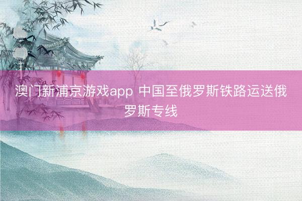 澳门新浦京游戏app 中国至俄罗斯铁路运送俄罗斯专线