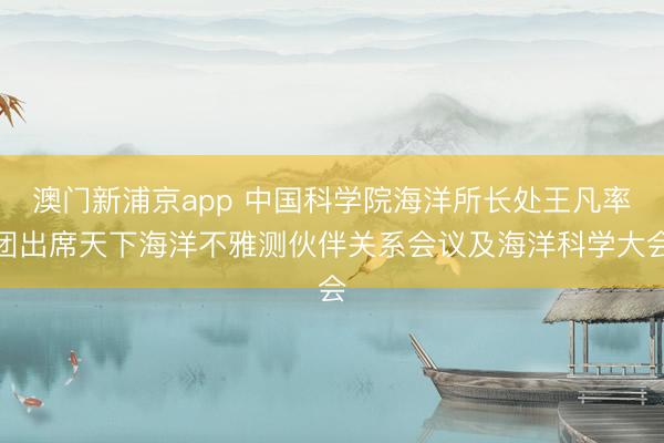 澳门新浦京app 中国科学院海洋所长处王凡率团出席天下海洋不雅测伙伴关系会议及海洋科学大会