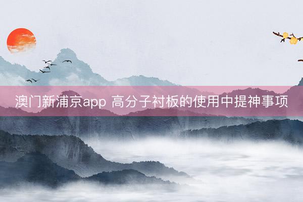 澳门新浦京app 高分子衬板的使用中提神事项