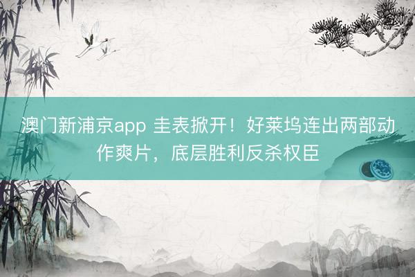 澳门新浦京app 圭表掀开！好莱坞连出两部动作爽片，底层胜利反杀权臣
