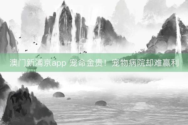 澳门新浦京app 宠命金贵!宠物病院却难赢利